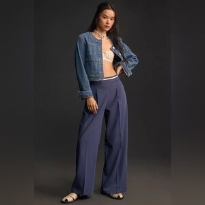 NWT Size L - Anthropologie Pleated Wide-Leg Pants